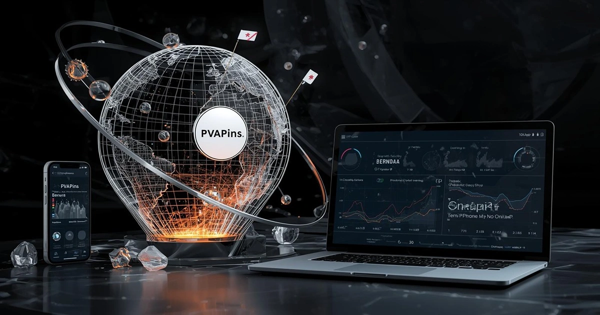 Fast Papara Verification in Bermuda Without SIM Card