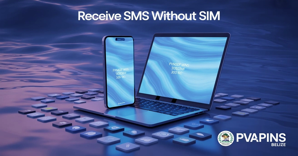 Fast Bilibili Verification in Belize Without SIM Card